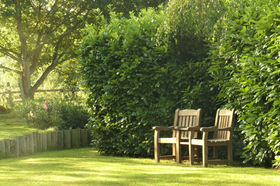 Secluded seating area